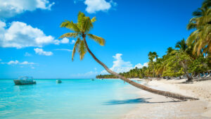 Punta Cana O que Fazer Capa